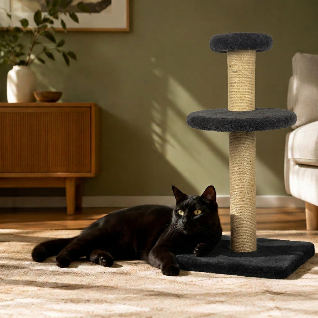 Furniture your cat will actually love